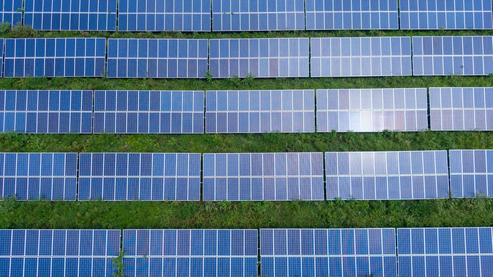 Aerial view of solar panel rows over green ground cover